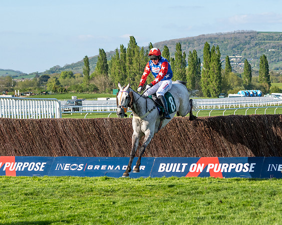 Race 3 - KTDA Hunters' Steeple Chase  (155 of 226)