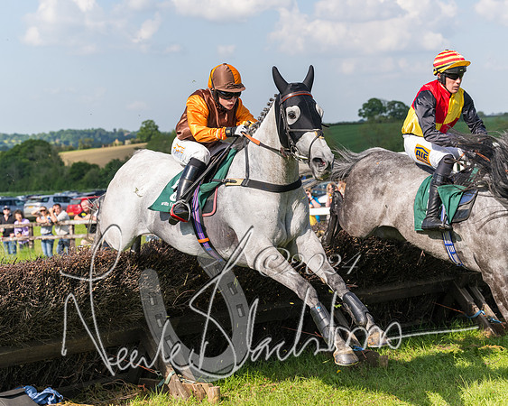 Race 5 - Restricted Race  (139 of 360)