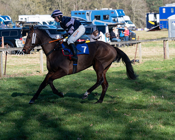 Race 5 - Maiden (7 of 123)