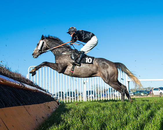 Race 6 - Restricted  (225 of 291)