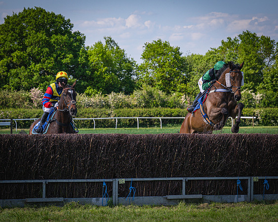 Race 3 The College and County Ladies Open Race (29 of 122)