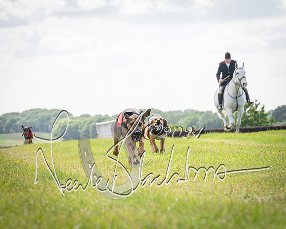 The Hound Race (17 of 68)