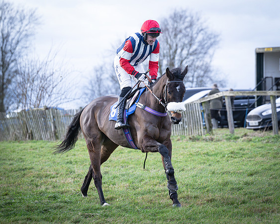 Race 7 - Maiden Conditions (9 of 164)
