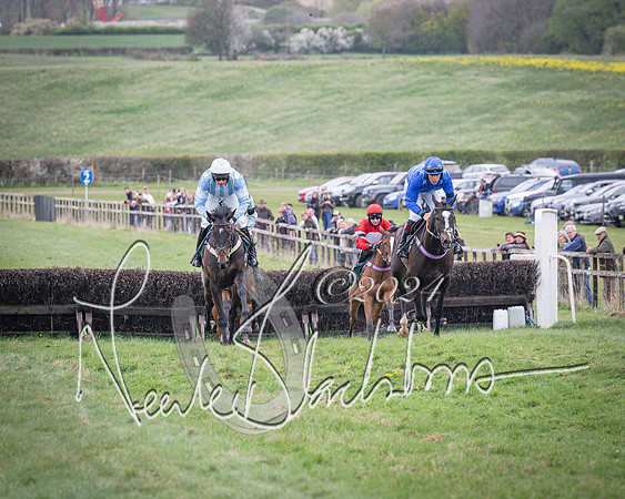 Race 2 - Tattersalls Cheltenham 4 year old Maiden (36 of 85)
